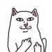 Profile picture for user pipec