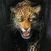Profile picture for user БЕШЕН