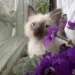Profile picture for user sergey_sev3