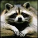 Profile picture for user wdw