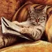 Profile picture for user сибарит