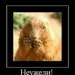 Profile picture for user Неужели?