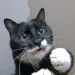 Profile picture for user Johnny D