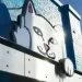 Profile picture for user Анна Петькова