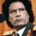 Profile picture for user Kaddafi