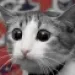 Profile picture for user dick