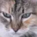 Profile picture for user Иван