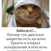 Profile picture for user ДмитрийСеменов