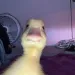 Profile picture for user Виолеттаfaik