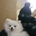 АртурКовалёв1
