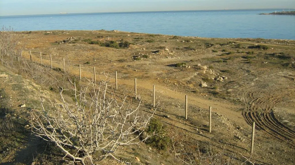 Руководитель Севнаследия ответил на запрос об археологических находках на «Солдатском пляже»