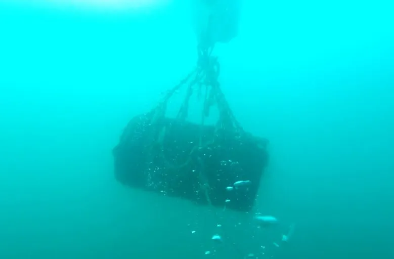 На дне моря в акватории Севастополя нашли 69 авиабомб и снарядов
