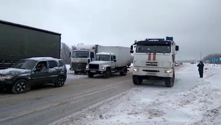 Два автобуса с детьми эвакуировали из-за пробки и снегопада на трассе М5