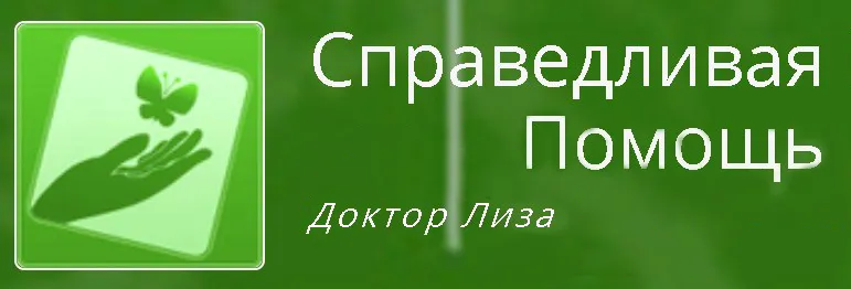 Фонд Доктора Лизы за год эвакуировал из Донбасса 77 тяжелобольных детей 