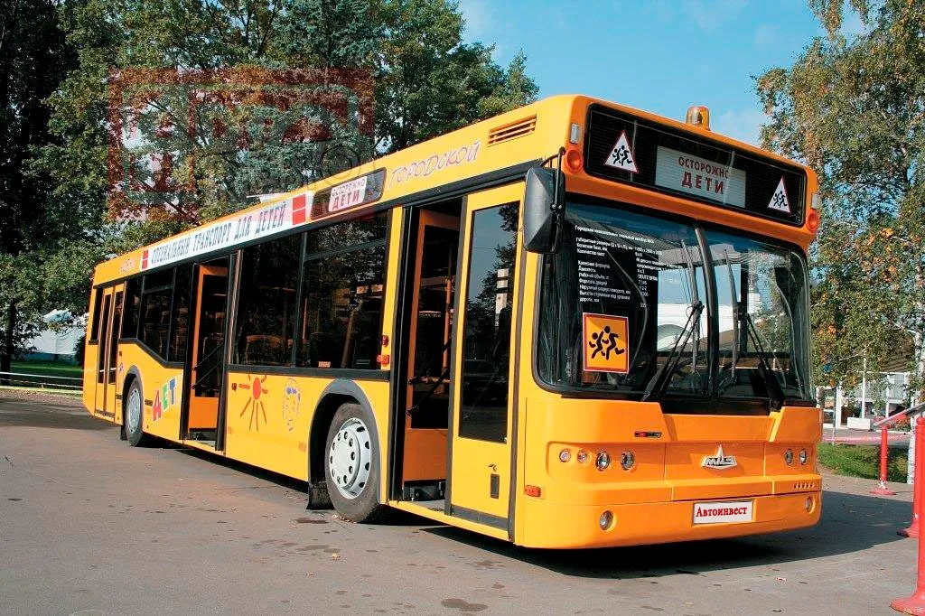 Детские автобусы в России оснастят "мигалками" 