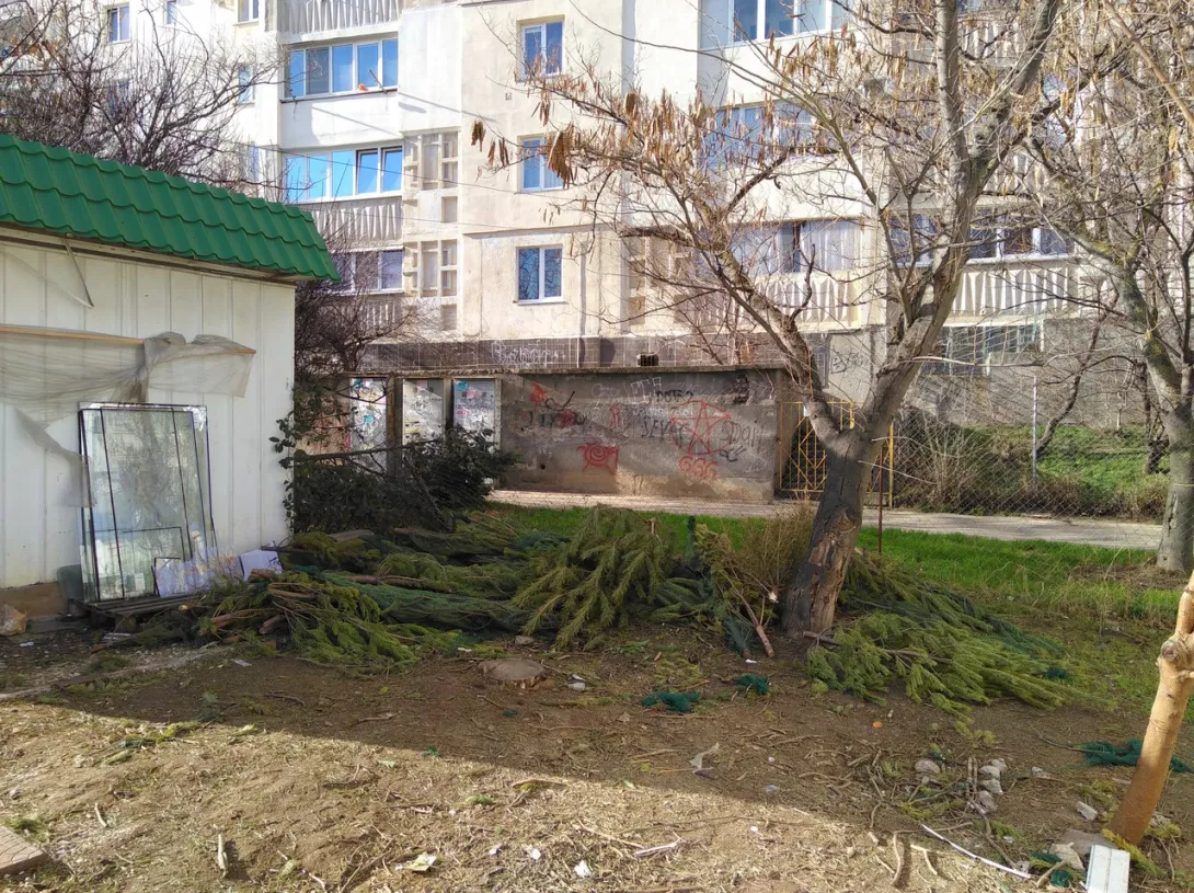 В Севастополе новогодние ёлки превратились в горы мусора