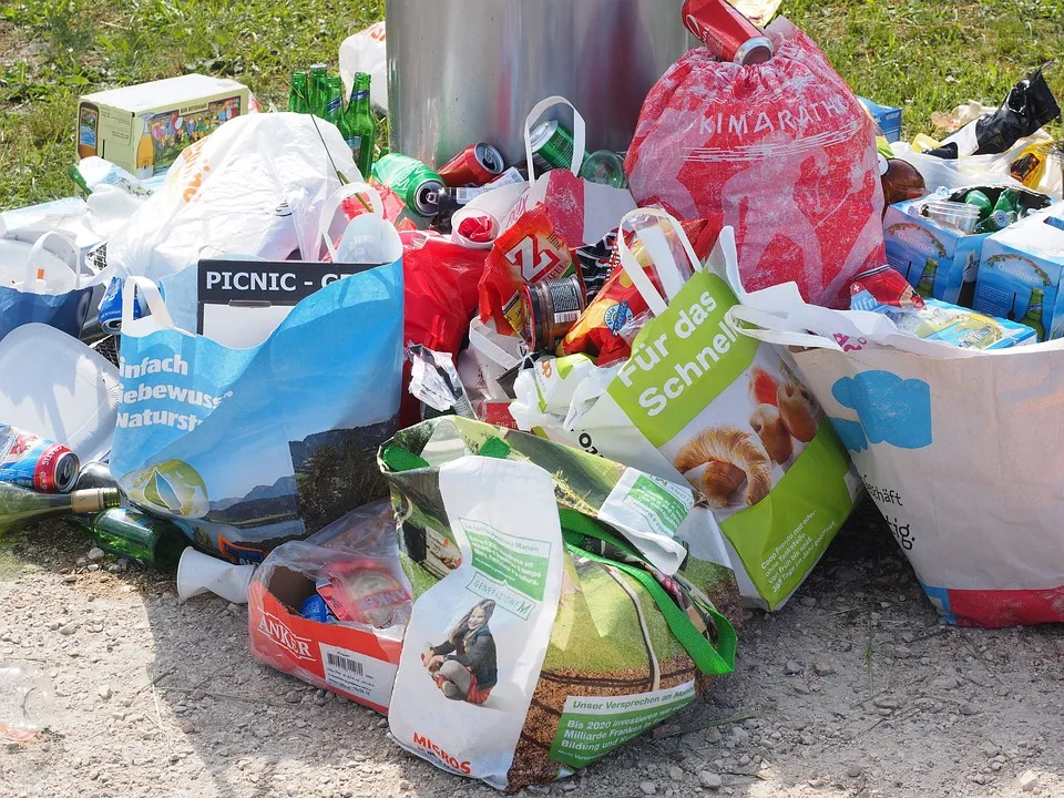 В Севастополе «благоухают» 50 мусорных свалок 