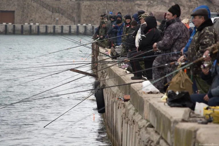 До конца марта рыболовам-любителям установят лимиты на вылов