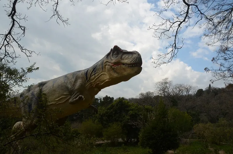 Динозавров вывели в Никитском ботаническом саду