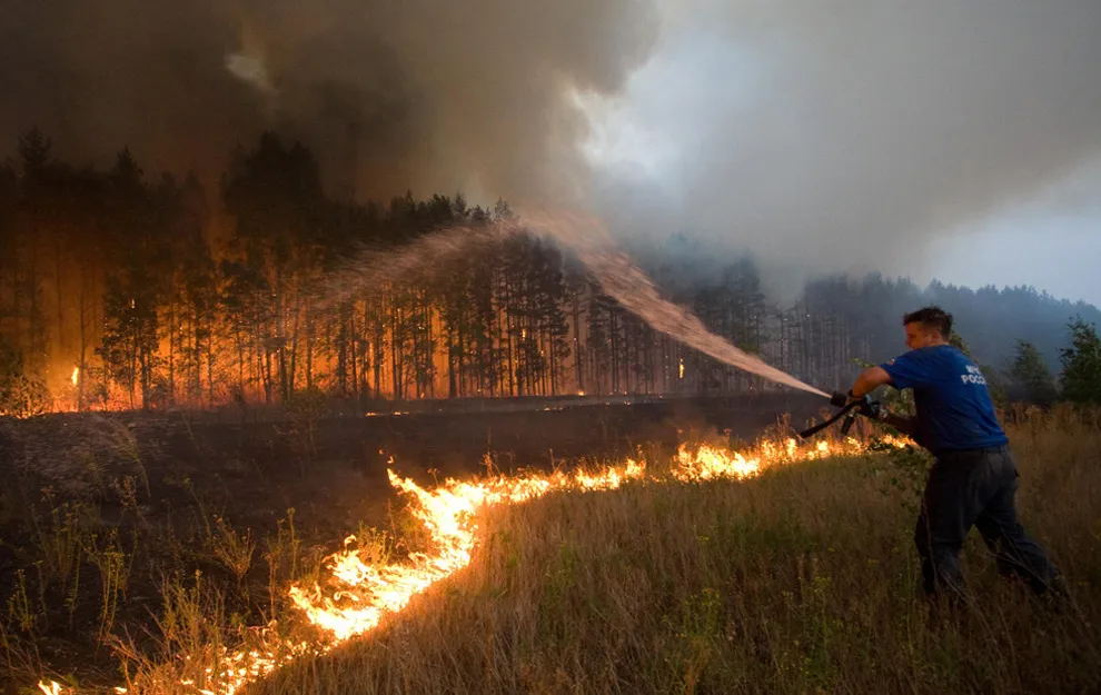 Площадь лесных пожаров в России за сутки увеличилась на 7 тысяч гектаров