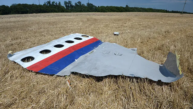 Нидерланды и Австралия обвинили Россию в крушении MH17 в Донбассе‍