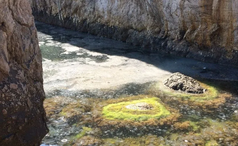 Морская вода у лагеря «Ласпи» изучается на предмет загрязнения