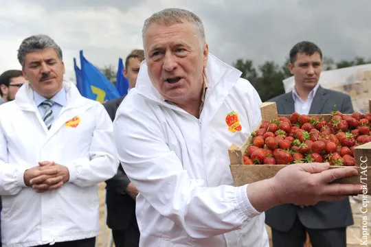 Грудинин отдал Жириновскому проспоренные 100 килограммов клубники