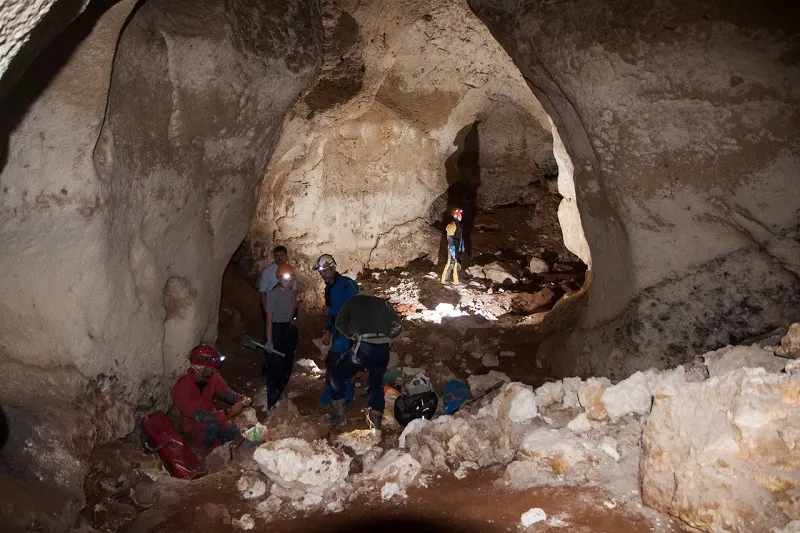 В Крыму вскрыли уникальную пещеру с останками древних животных