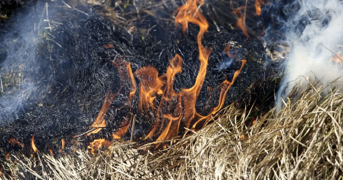 Огонь уничтожил часть Немецкой балки в Севастополе 