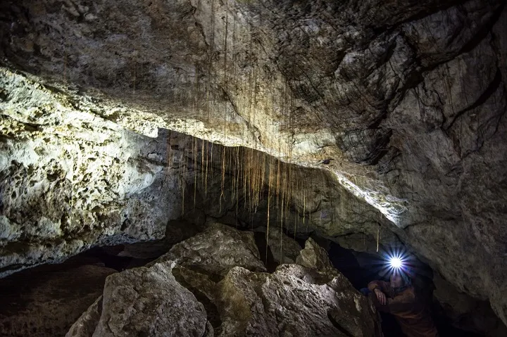 Учёные готовы передать материалы о пещере «Таврида» проектантам федеральной трассы для защиты объектов
