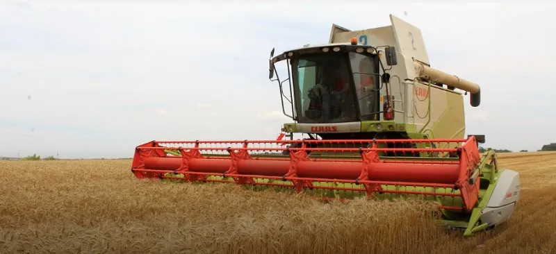 Худший за четыре года урожай зерновых собрали в Крыму