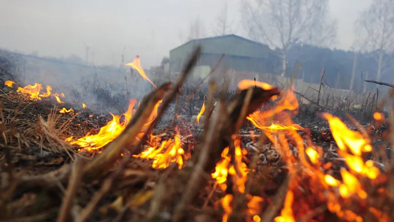 За неделю в Севастополе выгорело около 9 гектаров земли