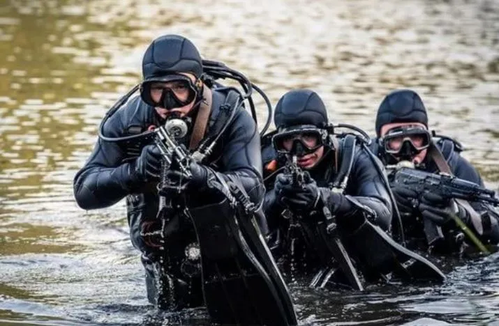 В Совфеде назвали задержание "Механика Погодина" в Херсоне "игрой с огнем"