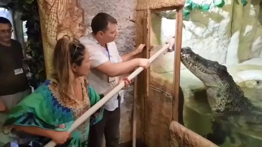Российские знаменитости в Крыму стали «крёстными» для 88 крокодилов 