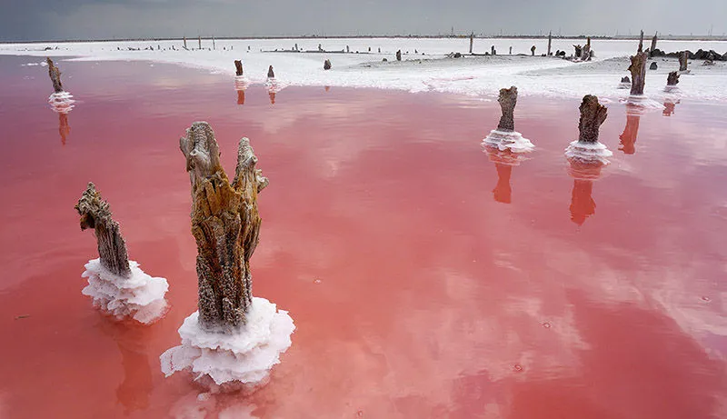 Розовая соль может превратить крымское озеро Сасык-Сиваш в СПА-курорт
