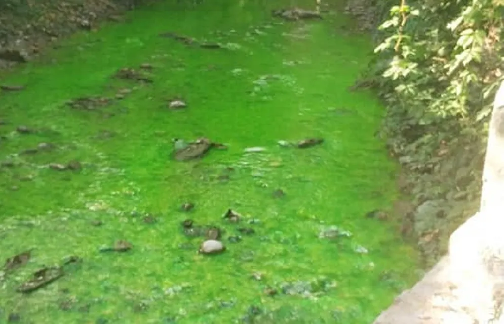 Река в горном Крыму окрасилась в ядовито-зелёный цвет