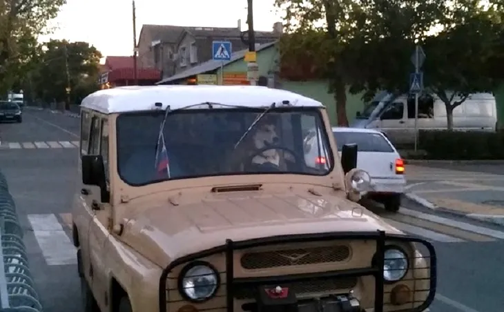 В Севастополе появился "щенячий патруль" 