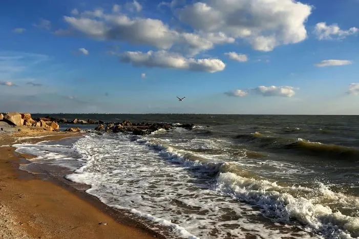 На Украине придумали, как "вернуть" Азовское море
