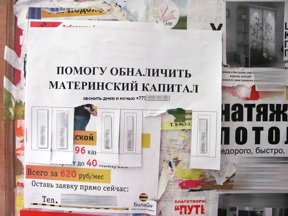 В Севастополе незаконно предлагают землю под Челябинском за маткапитал