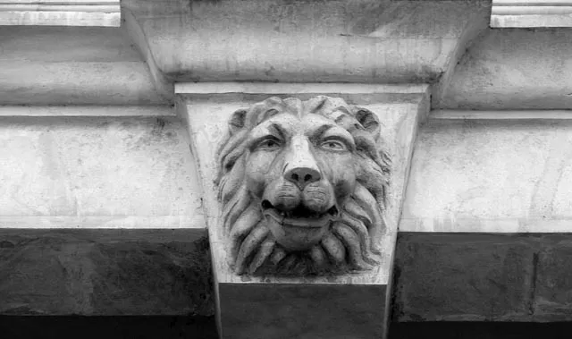 Ни мужества, ни величия: львы Севастополя вызывают жалость