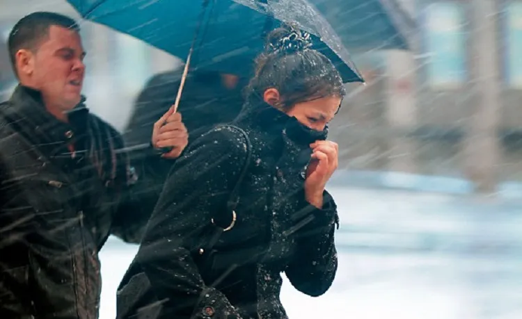 Неделю дождей в Севастополе сменят новогодние морозы 