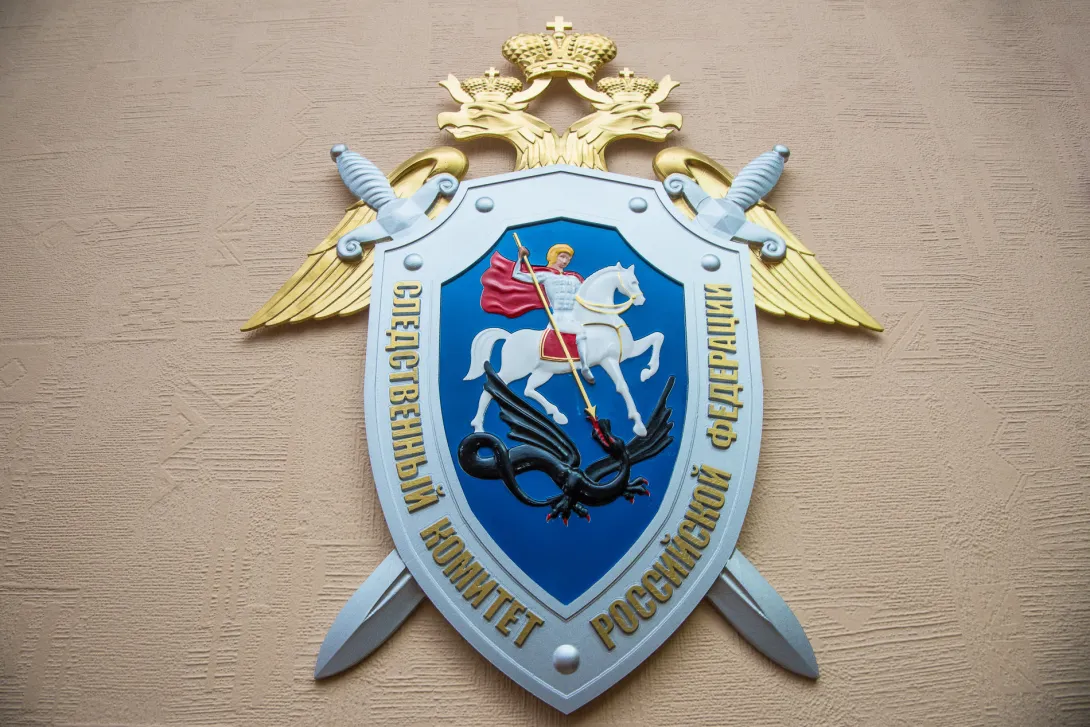 В Барнауле пятилетний ребенок пожаловался в СК на своих пьяных родителей