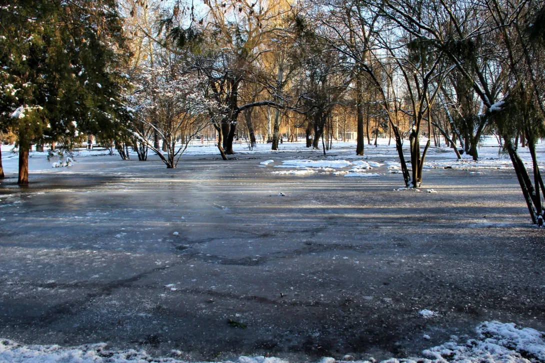 В парке столицы Крыма появились ледяные поля
