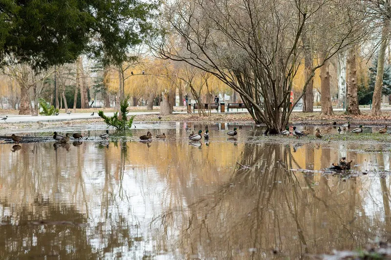Самый большой городской парк Крыма превратился в болото