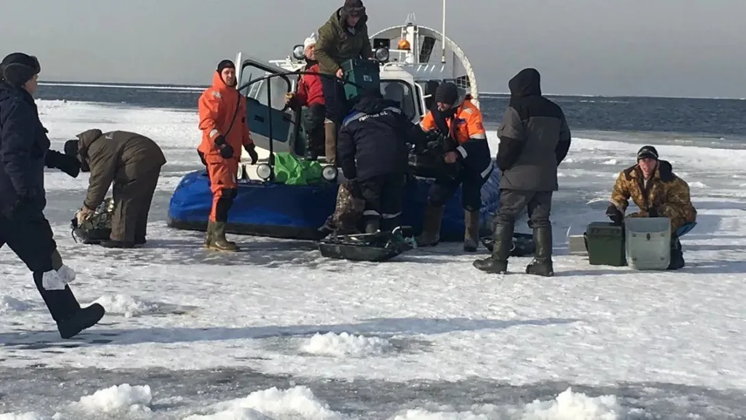 В Петербурге сотрудники МЧС сняли со льда Финского залива 97 рыбаков