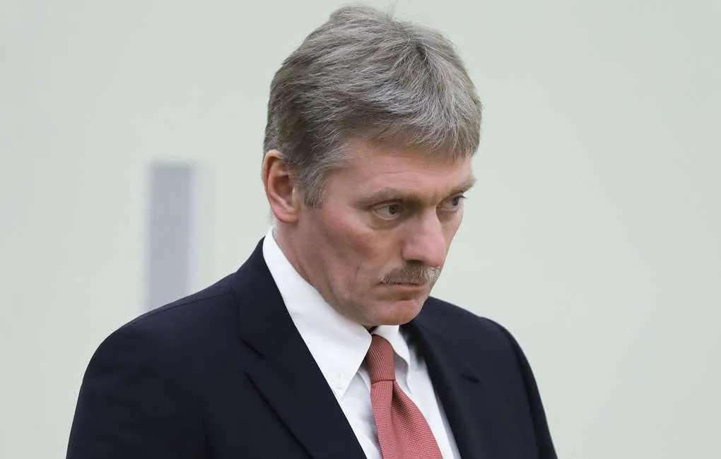 Песков: участники митинга за свободу интернета заблуждаются насчет намерений властей