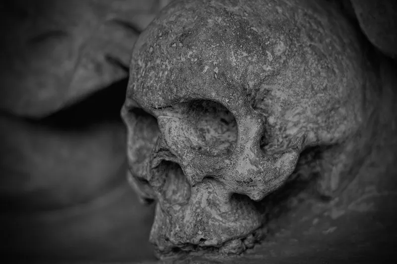 Скелет мужчины обнаружен во время субботника в Евпатории