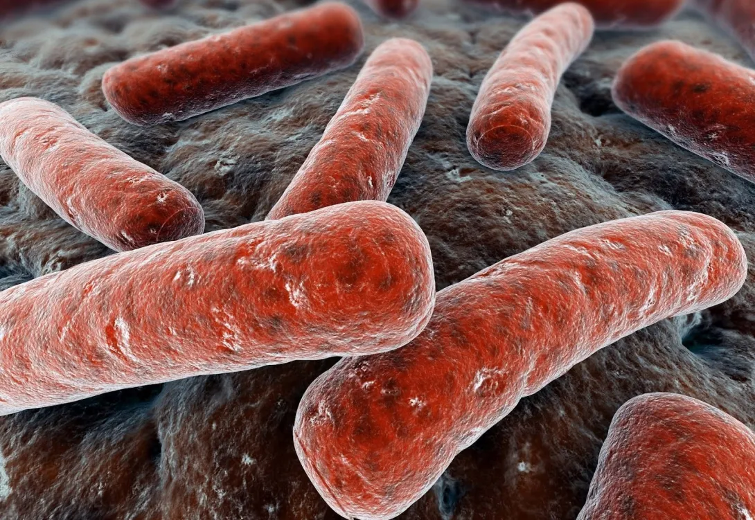 В Севастополе туберкулёзом заболеть может каждый