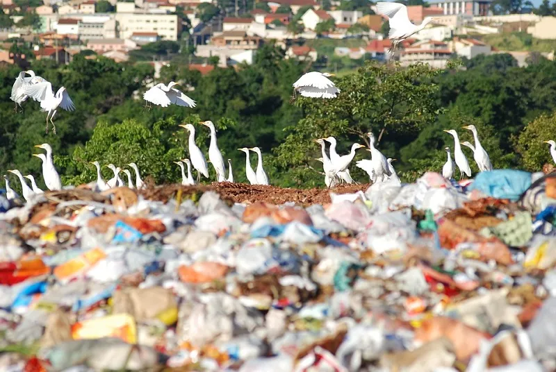 Крымчан испугали созданием мусорной свалки в Армянске