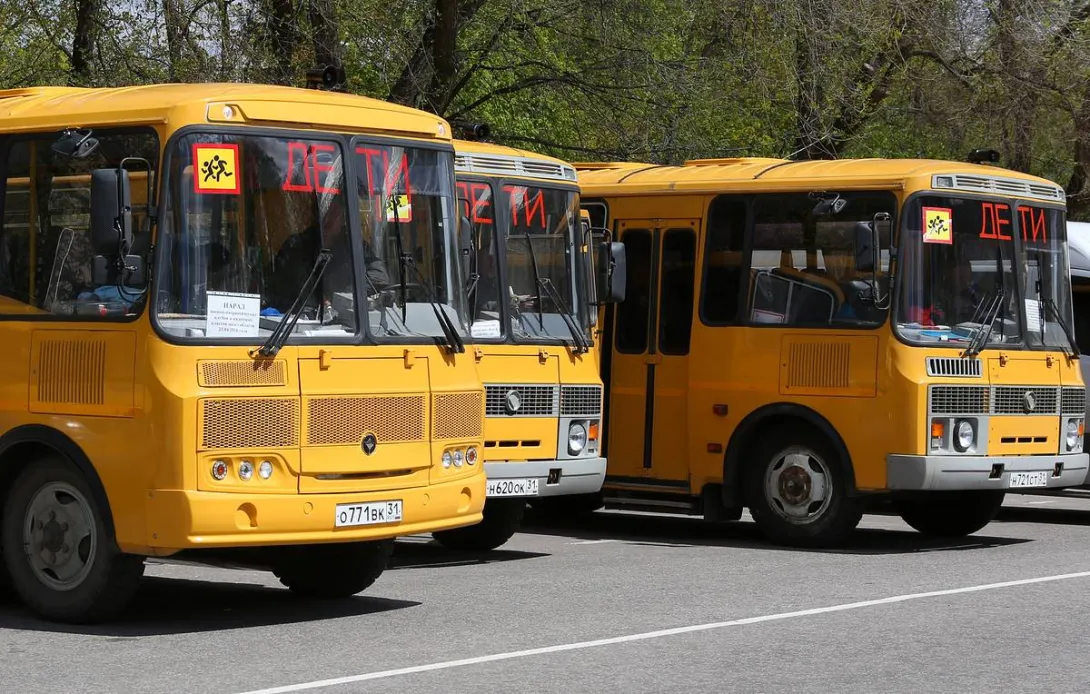 К закупкам услуг по перевозке детей допустят автобусы не старше 10 лет